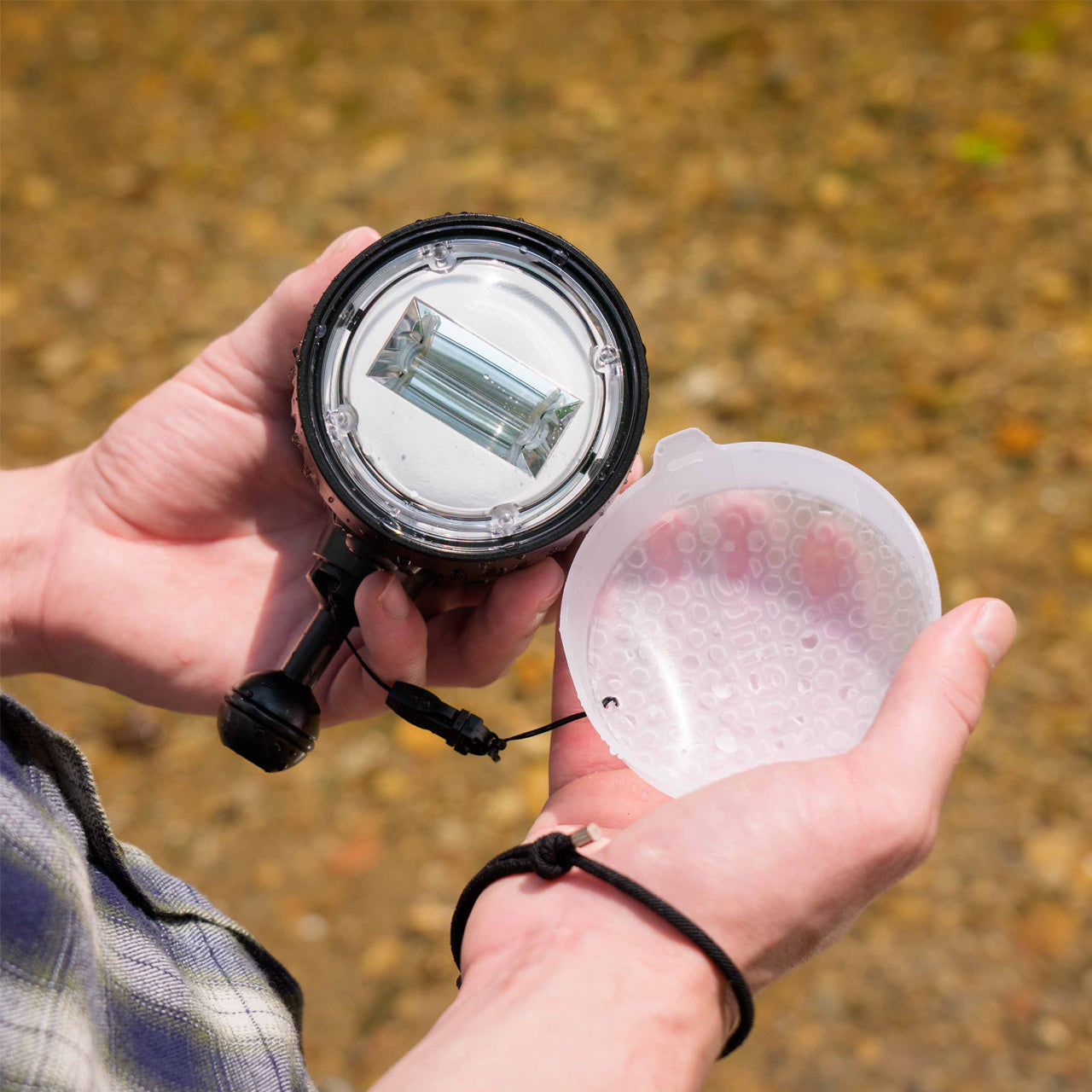 Ecko Fibre Optic Single Strobe Bundle with Ball Arm & Cord