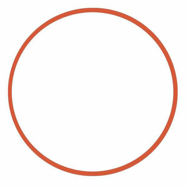 Ikelite O-ring for Digital Housings