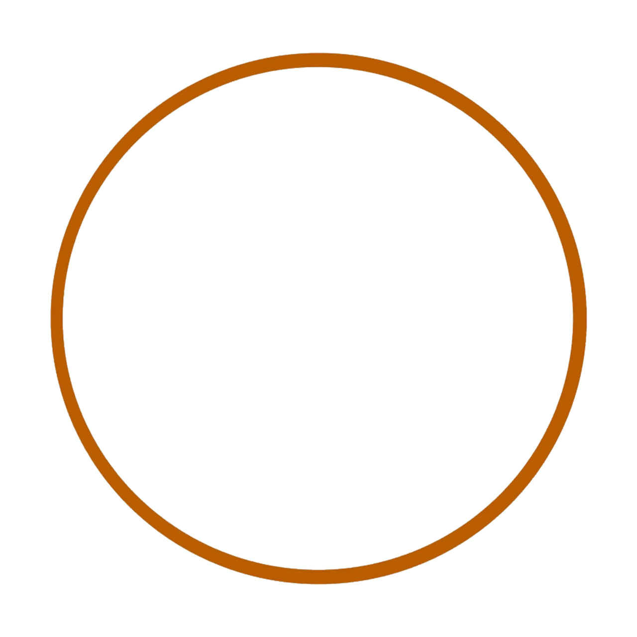 Ikelite Focus Ring Lock for Sony FE 100mm Macro Lens