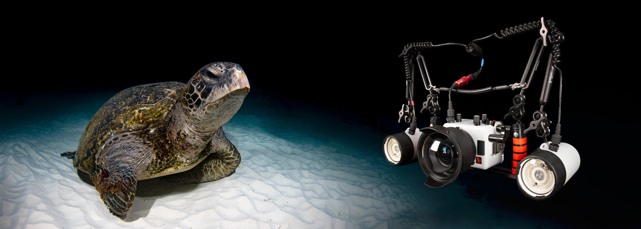 underwater cameras